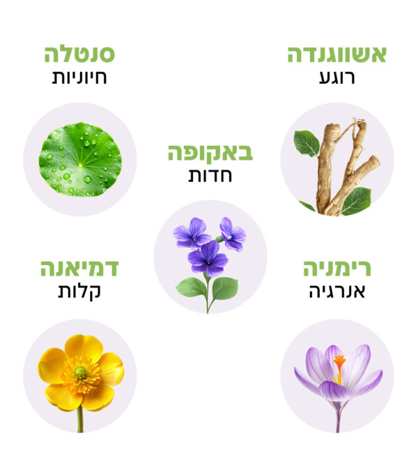 ⁦למתח ורגיעה⁩ – תמונה ⁦2⁩