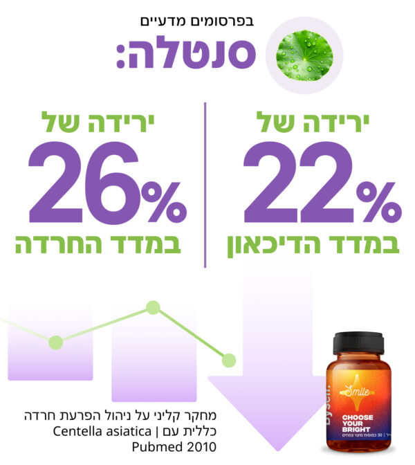 ⁦למתח ורגיעה⁩ – תמונה ⁦4⁩